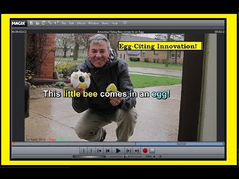 This flying Bee came in an Egg! It’s BEE-utiful and Egg-Citing! Ingenious. - UCvPYY0HFGNha0BEY9up4xXw