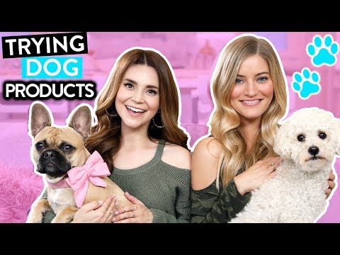 TRYING FUN DOG PRODUCTS w/ iJustine! - UCjwmbv6NE4mOh8Z8VhPUx1Q