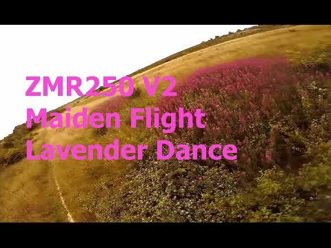 Mini Quad FPV ▪  Lavender Dance ▪ ZMR250 V2 Maiden Flight ▪ FPVModel 2206 2000KV ▪ DYS SN20A - UCQ3OvT0ZSWxoVDjZkVNmnlw