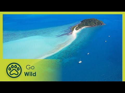 Australia's Greatest Islands - The Secrets of Nature - UCVGTgXC1P--xM480Z6DqyAg