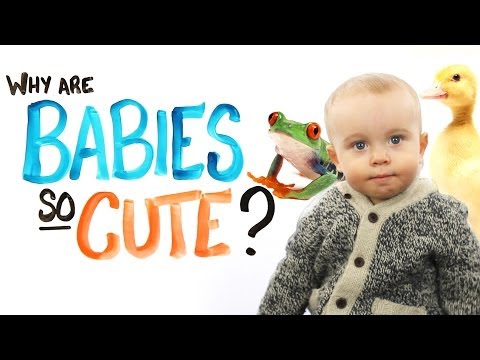 Why Are Babies So Cute? - UCC552Sd-3nyi_tk2BudLUzA