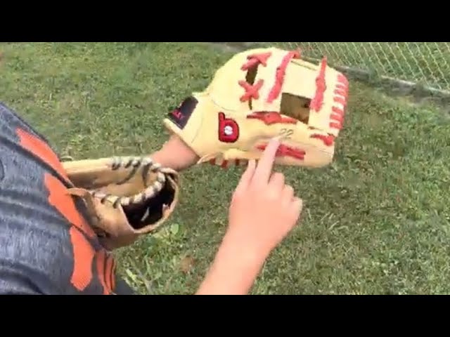 Where Are Bradley Baseball Gloves Made?