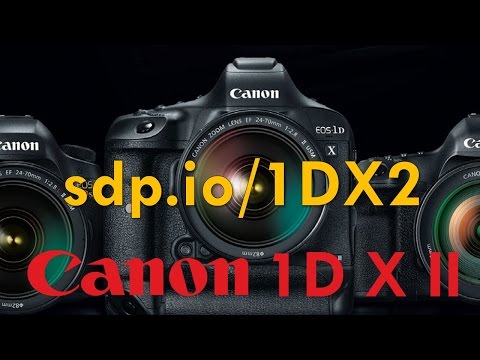 Canon 1DX Mark II Preview (vs D5, 5DS-R) - UCDkJEEIifDzR_2K2p9tnwYQ