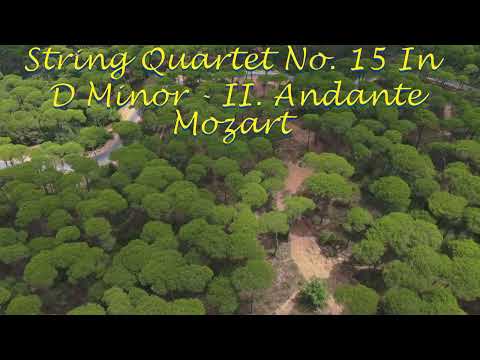 Mozart String Quartet No. 15 - A Masterpiece for Classical Music Lovers