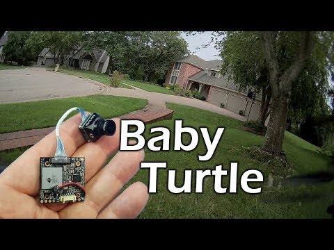 Caddx Baby Turtle // Nano HD-FPV Camera - UCBGpbEe0G9EchyGYCRRd4hg