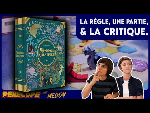 WONDROUS CREATURES - La règle, la partie, la critique -  C'est très joli, mais pas que !