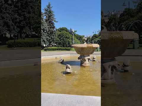 Зиедоньдарзс, Рига