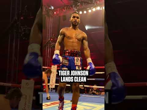 #tigerjohnson is too smooth with it 🤧 #boxing #boxingknockouts