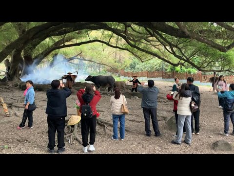 Chinese tourist spot goes viral with staged rural scenes | AFP