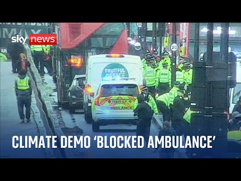 Just Stop Oil protesters accused of blocking ambulance