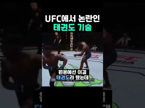 UFC에서 논란인 <strong>태권도</strong> 기술