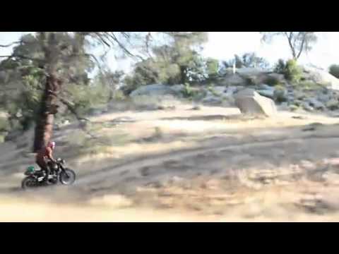 Chris Rea   Curse Of The Traveller