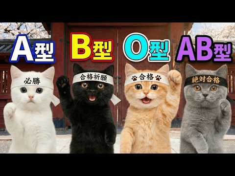 合格を掴み取れ!受験勉強で性格が違う猫たちの個性爆発!【血液型あるある】