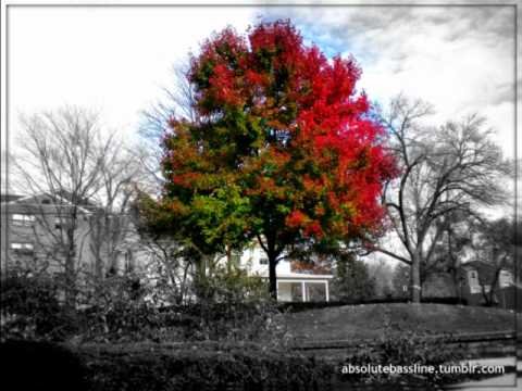 Wabz ft. Lobo Incognito - Keepsake - UC8Q5HV1t39MhlNuQi9Xh8LA