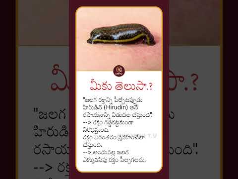 రక్తం పీల్చే జీవుల్లో విడుదలయ్యే రసాయనాలు|| KRTV #education #study #students #exam #exampreparation