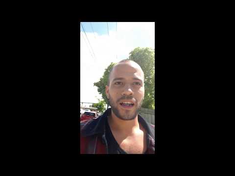 Growing Poppies - Harvesting