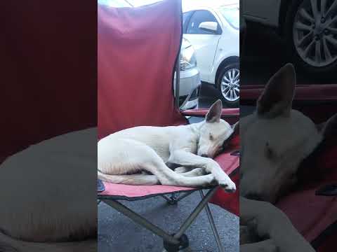 🥹 Most of us just want peace