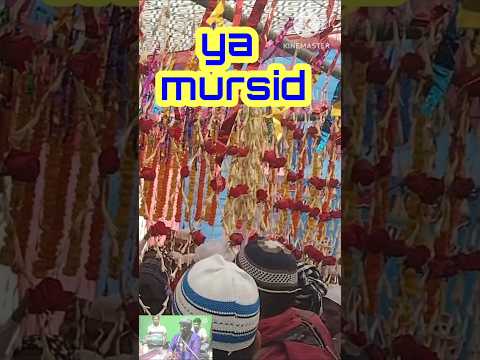 চরণ ধুয়ে দেবো চোখের জলে #yamursid #yapeer#joyguru#moregharaza. #sabirjhankar