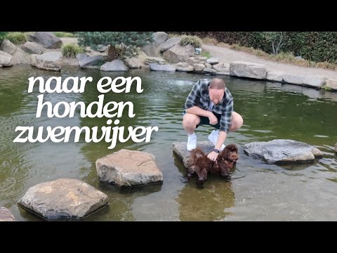 Klik hier om Jill Ruby van 7 september te bekijken.