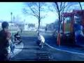 skatelegend153