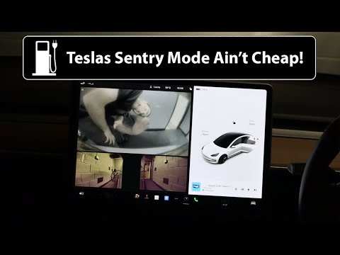 Tesla Sentry Mode Is Bloody Expensive!