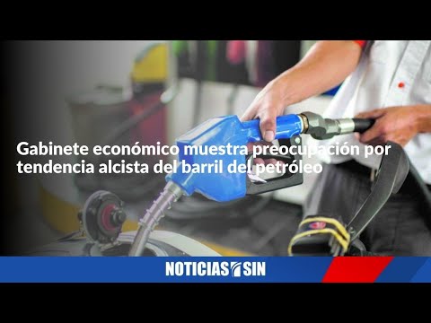 Gabinete económico muestra preocupación por  tendencia alcista del barril del petróleo