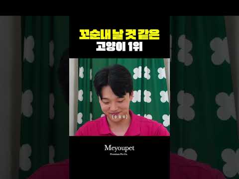 1초 내 발길을 멈추게 만드는 고양이 1위 🐱💛