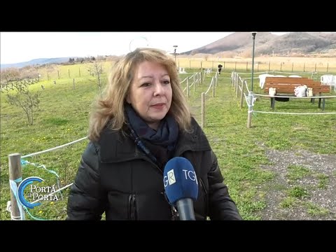 Trevignano. Il Vescovo: nessuna apparizione - Porta a porta 07/03/2024