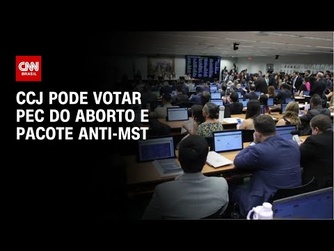 ​CCJ pode votar PEC do Aborto e pacote AntI-MST | CNN NOVO DIA