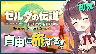 【ティアキン】自由な世界で寄り道大好き！初見【ゼルダの伝説ティアーズオブザキングダム 女性実況 VTuber なちゅモカ】155