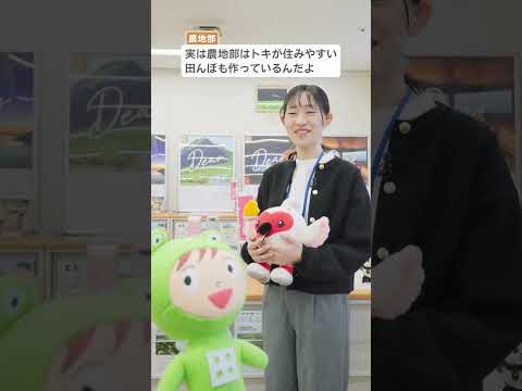【新潟県農地部】トキと農業の関係 #shorts #新潟県 #農地 #農村 #農業 #新潟農業 #棚田みらい