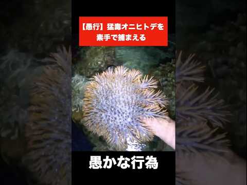 絶対にマネしないでください