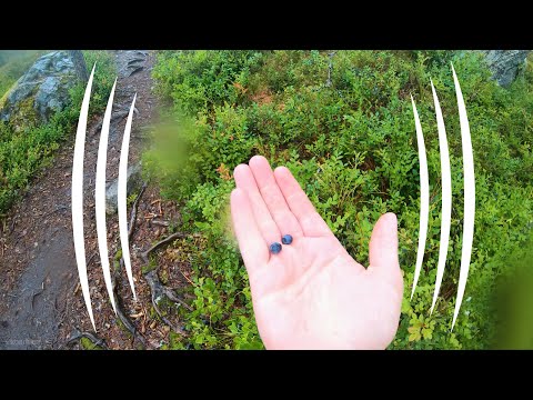 Devil's Mountain Finland In The Rain - (BINAURAL Audio Immersion) - The Sound Traveler (Pirunvuori)