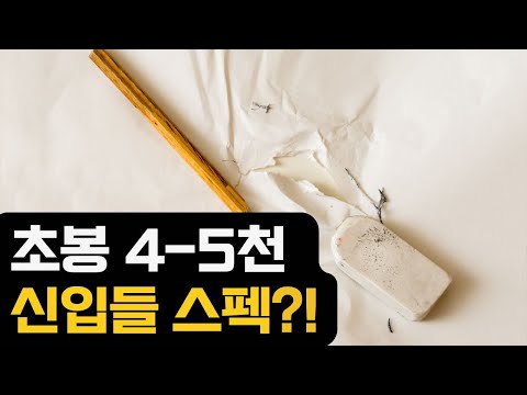 초봉 4-5천을 노리는 분들의 스펙