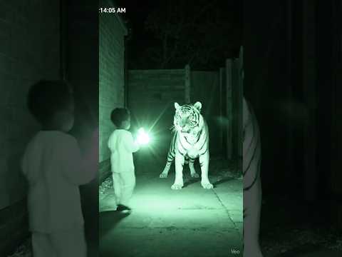 CCTV Footage You ever see | CCTV Captured The Most Unexpected Moment Ever #asmr #cctv #satisfying