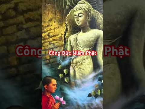 Công đức Niệm Phật #phatphap #loiphatday #phậtphápnhiệmmàu #phatphapnhiemmau