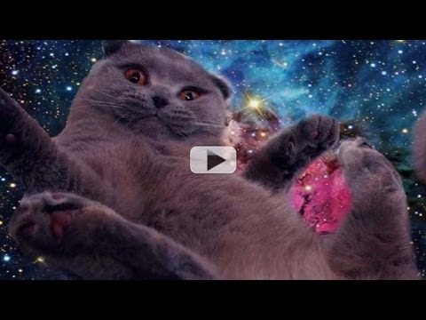 Mystifying Space Cats Photo-Bomb Hubble Imagery | Video - UCVTomc35agH1SM6kCKzwW_g