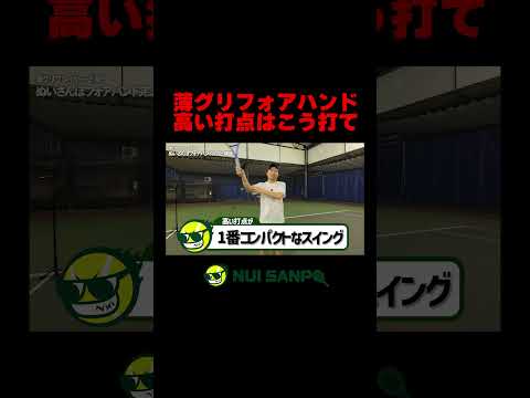 【忙しい人向けテニスレッスン】フォアハンド！薄グリ高い打点を完全攻略　#テニス #tennis #ぬいさんぽ #shorts #フォアハンドストローク #フォアハンド   #テニス上達