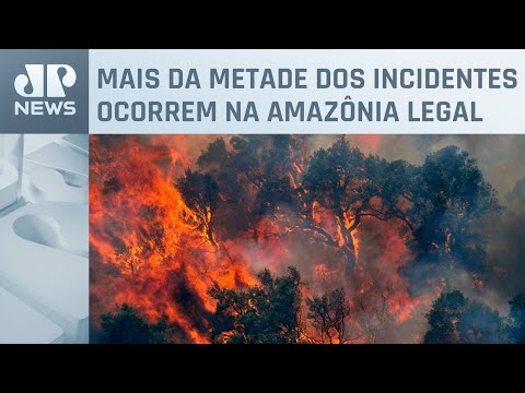 Brasil tem recorde de incêndios florestais em 2024