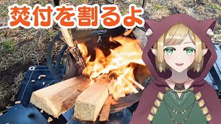 針葉樹を割ります