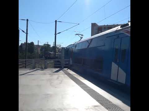 Departure and arrival of suburban trains at Sete Rios station #shorts #trains #subscribe #views