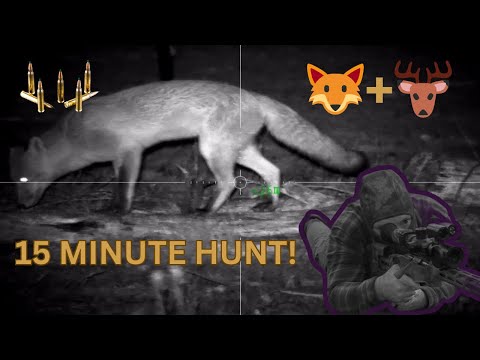 Thermal Hunter: How many species can I SPOT and DROP in 15 MINUTES?!