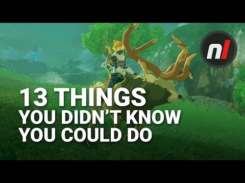 13 Things You Didn't Know You Could Do in The Legend of Zelda: Breath of the Wild - UCl7ZXbZUCWI2Hz--OrO4bsA