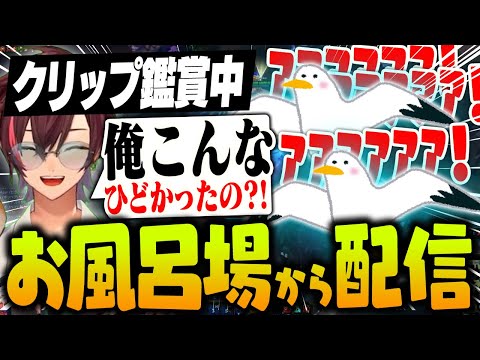 アクシデントによりお風呂場から配信したら怪鳥となったぽっぽ【リーグ・オブ・レジェンド/LoL】