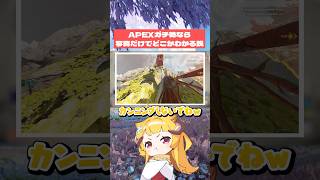 もう当たり前にどこかわかるよね？#おしゅ #APEX #vtuber