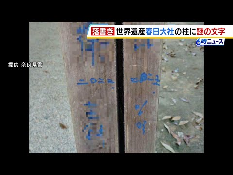 世界遺産「春日大社」で複数の「漢字の落書き」が見つかる　重要文化財である「本殿東回廊」の柱と遥拝所の柱　奈良市　（2025年9月9日）