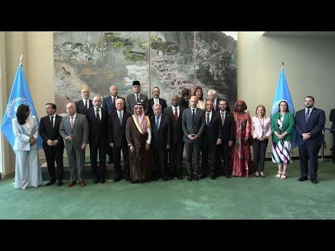 High level ministers take family photo at UN conference on two-state solution | AFP