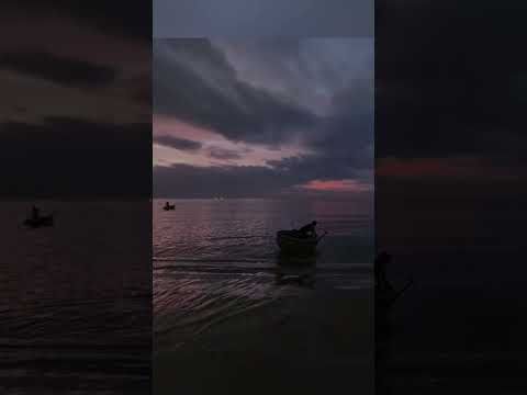 Ra khơi lúc hừng đông #ra khơi #luc #hừngđông #nature #tamsucungcon #bìnhminh #mattroi #đông #hừng