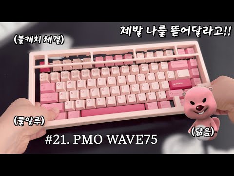 [나눔이벤트⌨️] 제발 커스텀 해달라고 호소하는 가성비 풀알루 기계식 키보드🙋🏻‍♂️ PMO WAVE75