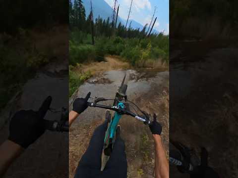 Jumping the famous Shitaker Gap in Nelson, BC! #mountainbike #gopro